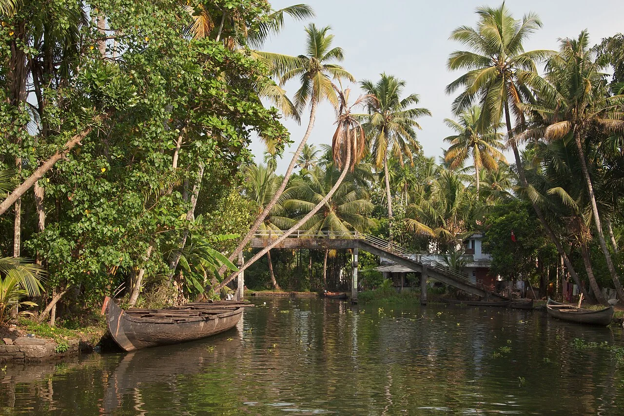 A scenic view of boats under a blue sky in backwaters situated in Allepey town located in Kerala state, India