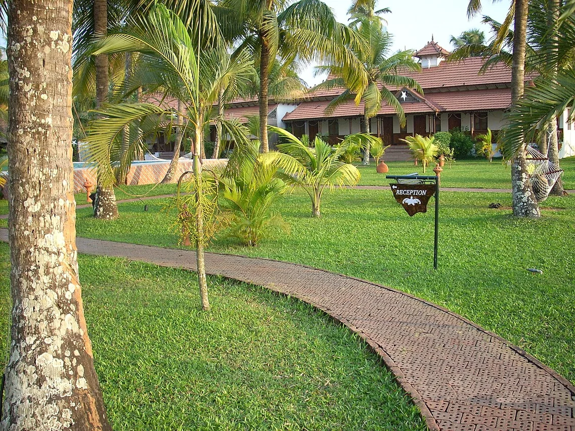 Photographie — Envoûtante du Kerala