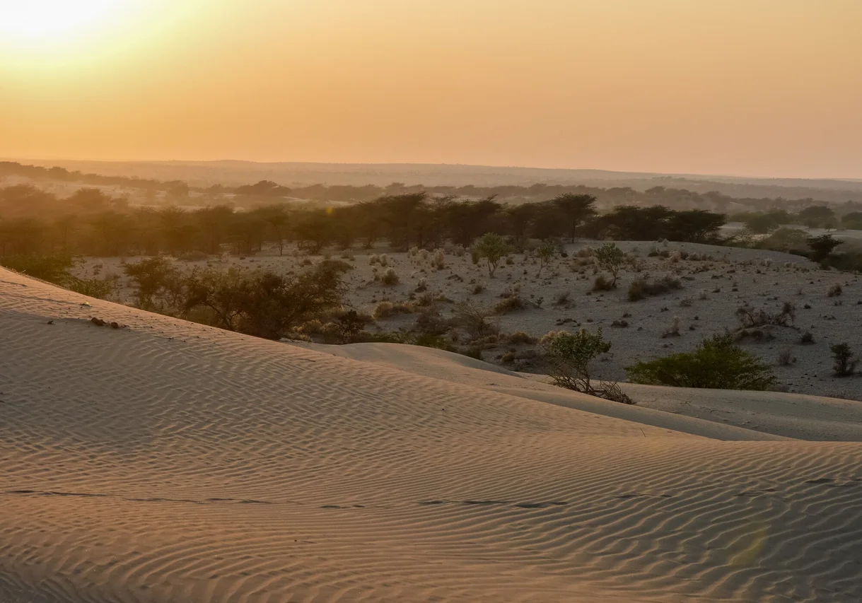Photographie — Agence de voyage francophone en Inde