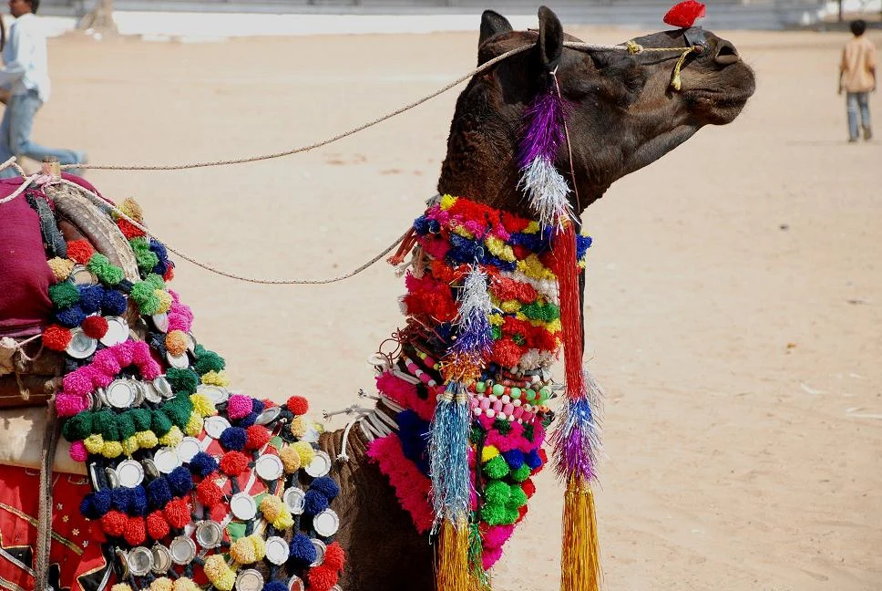 La foire de Nagaur