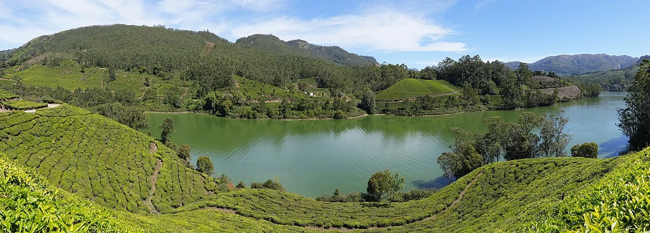 Photographie — Envoûtante du Kerala