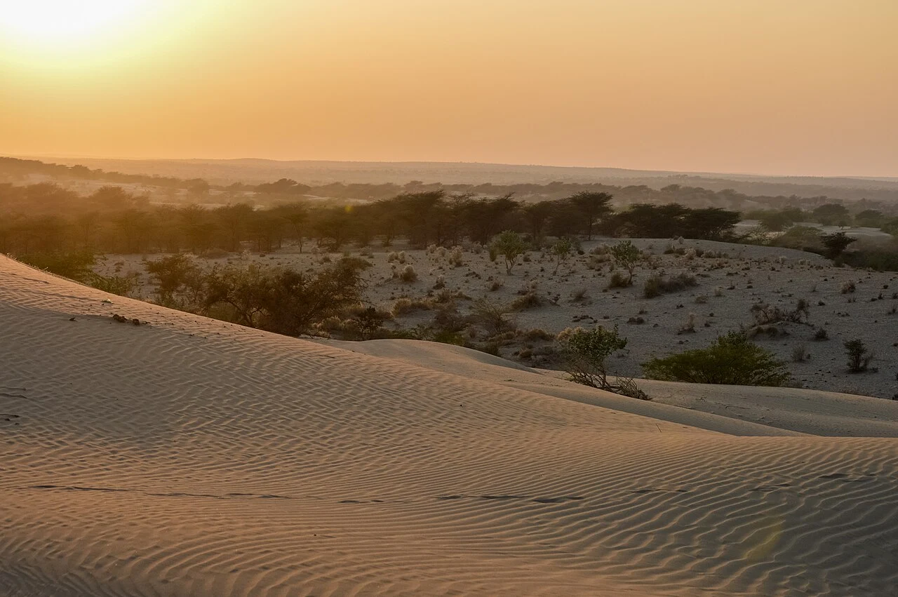 Le désert du Thar