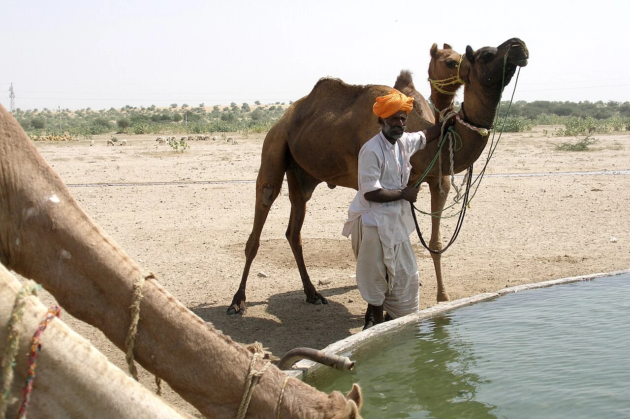 jaisalmer